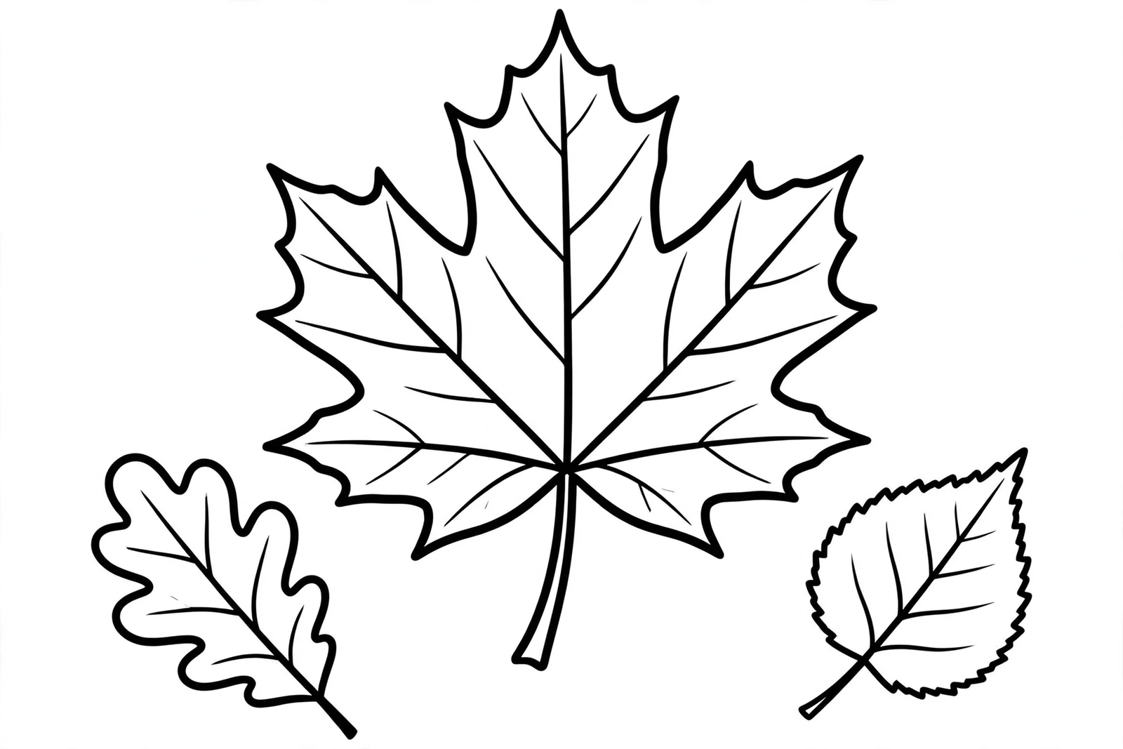 Fall Maple Leaf coloring page